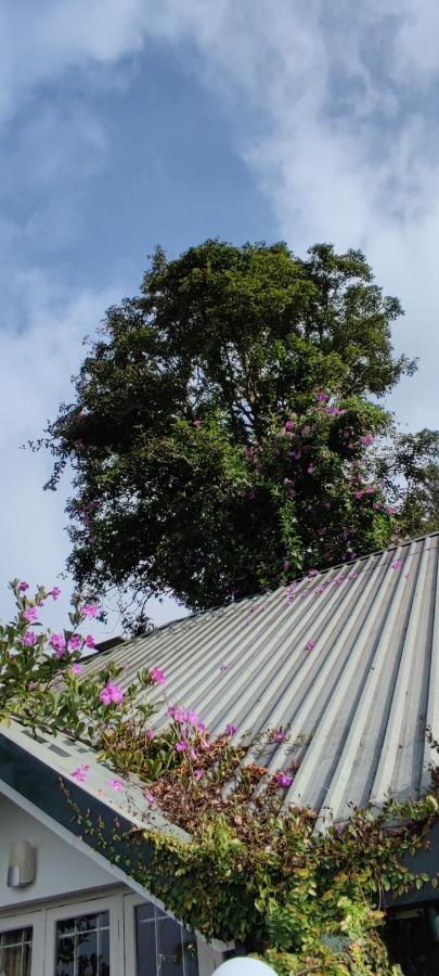 Munnar Tea Hills Resort - Mthr 외부 사진