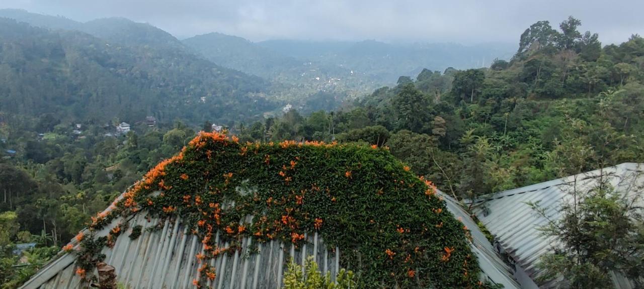 Munnar Tea Hills Resort - Mthr 외부 사진