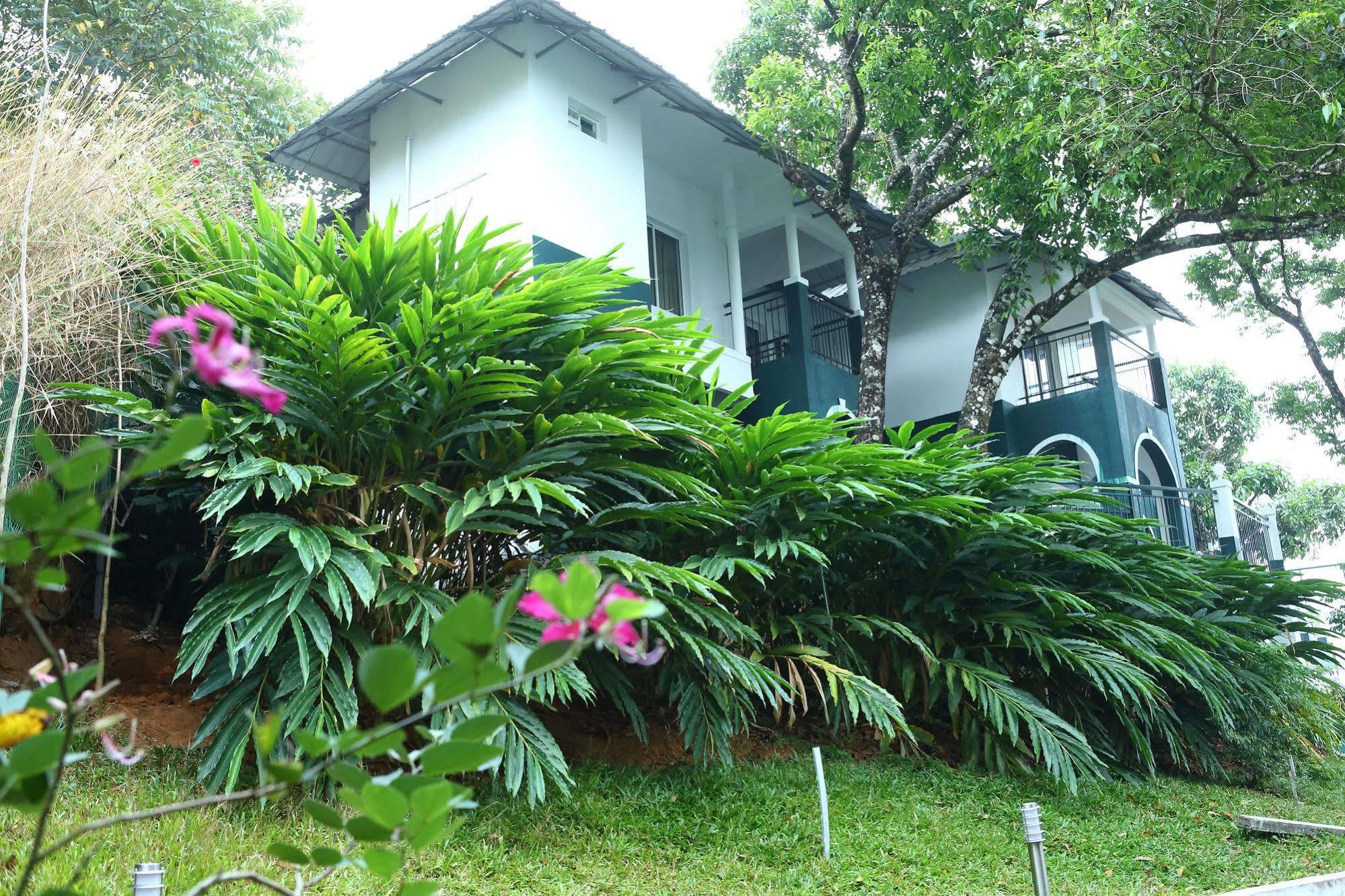 Munnar Tea Hills Resort - Mthr 외부 사진